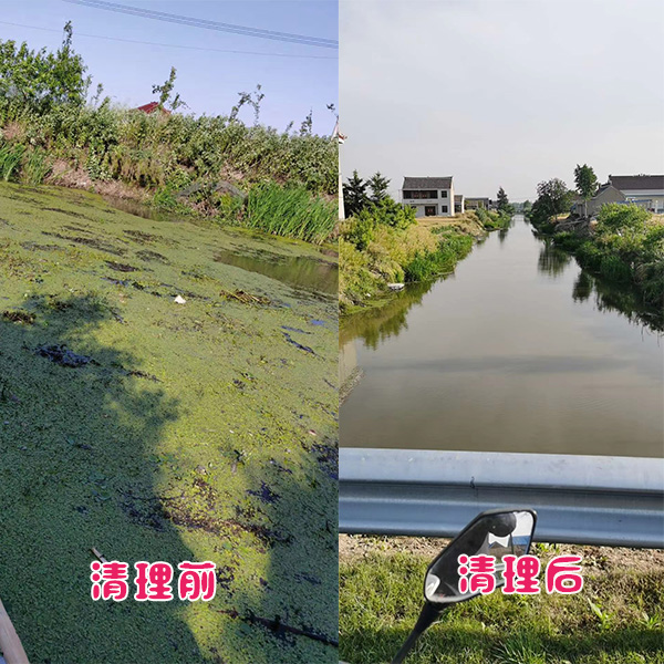 鹽城客戶鄉鎮河道水草清理效果展示 鹽城客戶鄉鎮河道水草清理效果展示
